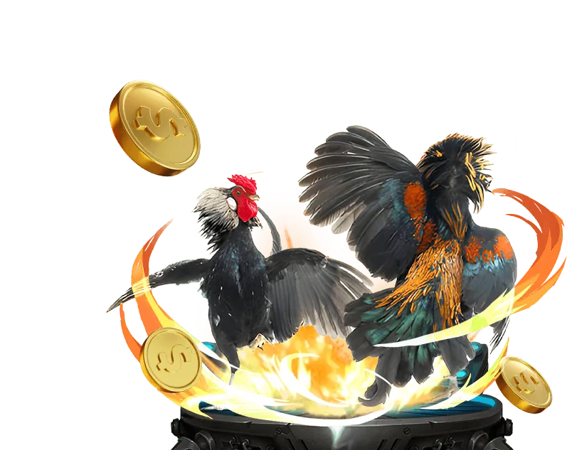 Giới thiệu tổng quan tài nguyên ku vàng